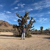 Review photo of Mojave Cross Dispersed — Mojave National Preserve by Volodymyr S., November 30, 2025