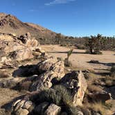 Review photo of Mojave Cross Dispersed — Mojave National Preserve by Volodymyr S., November 30, 2025