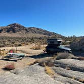 Review photo of Mojave Cross Dispersed — Mojave National Preserve by Frances L., December 1, 2024