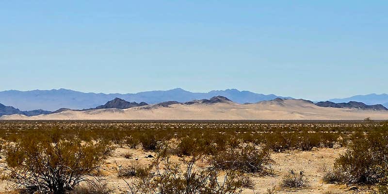 Camper submitted image from Mojave Preserve