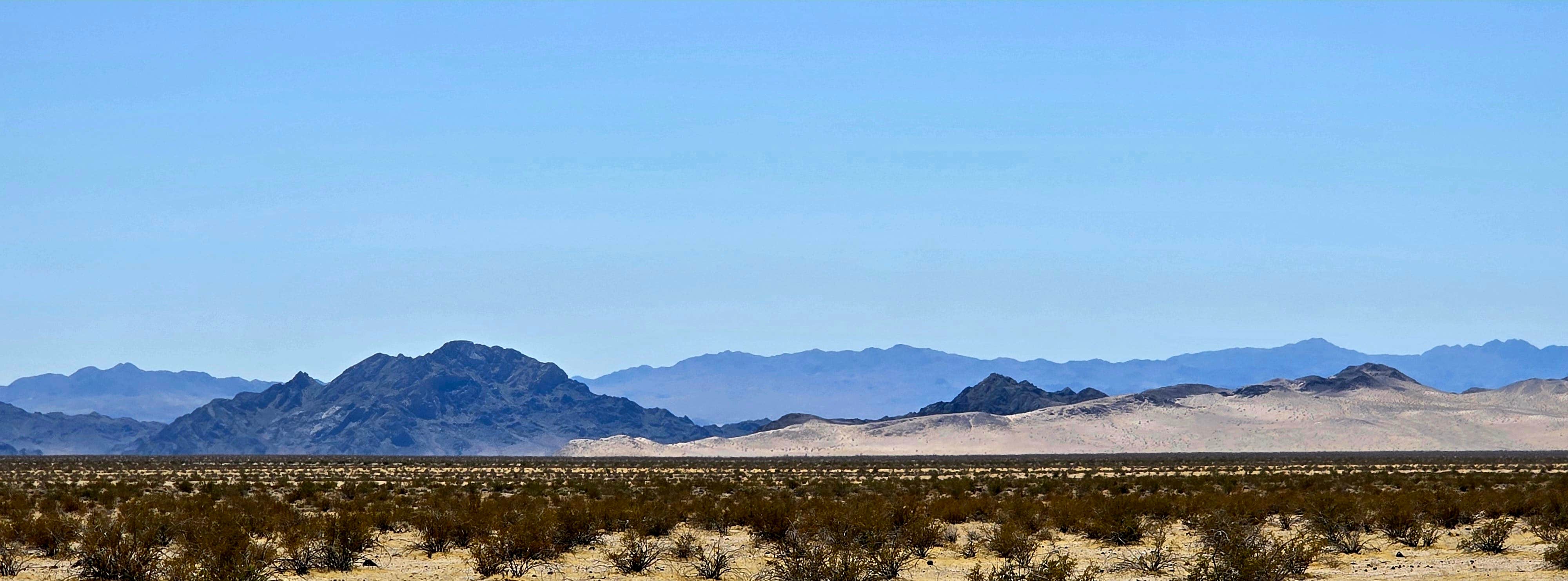 Camper-submitted photo at Mojave Preserve near Baker, CA