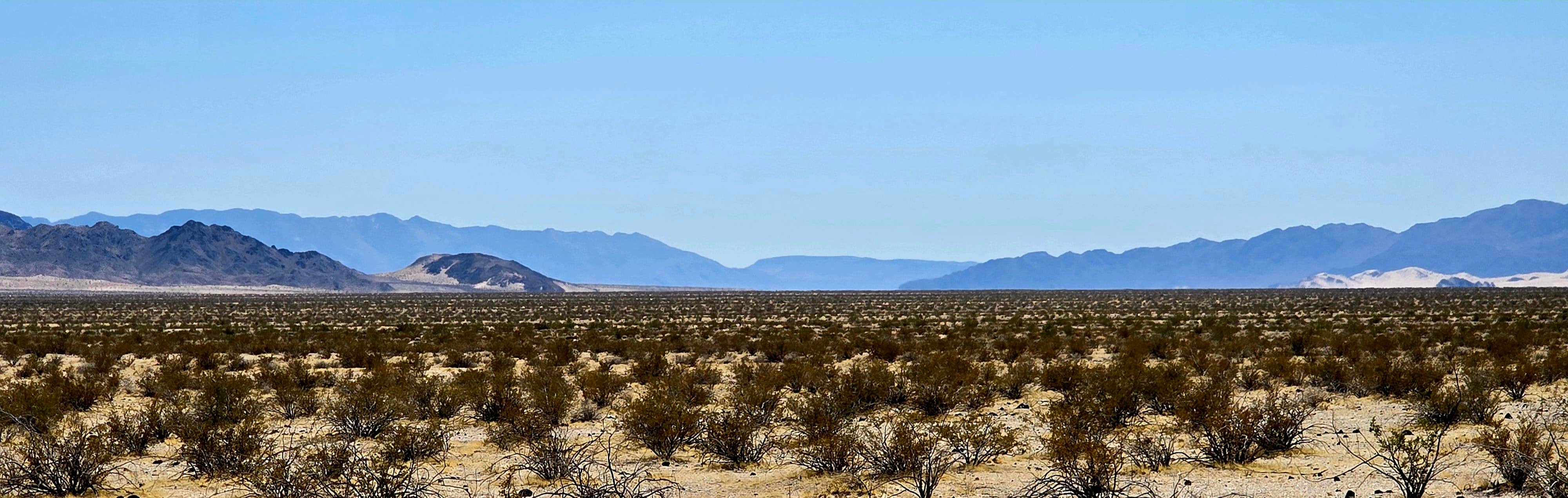 Camper-submitted photo at Mojave Preserve near Baker, CA