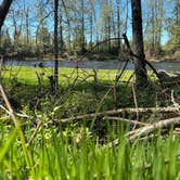 Review photo of Molalla Ripple by Kevin  B., April 9, 2026