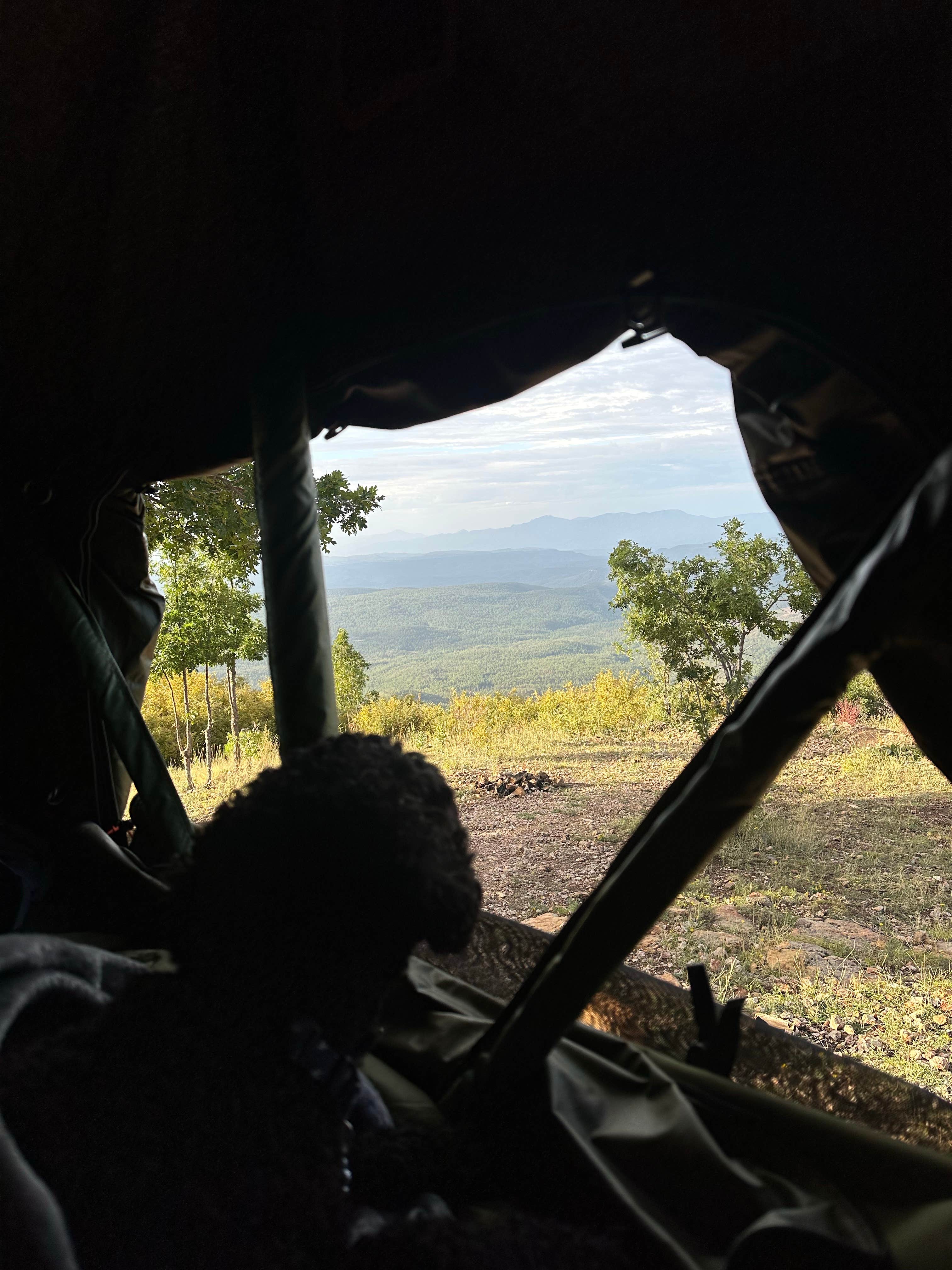 Camper-submitted photo at Molitor Spot Along Rim Road - Dispersed near Payson, AZ
