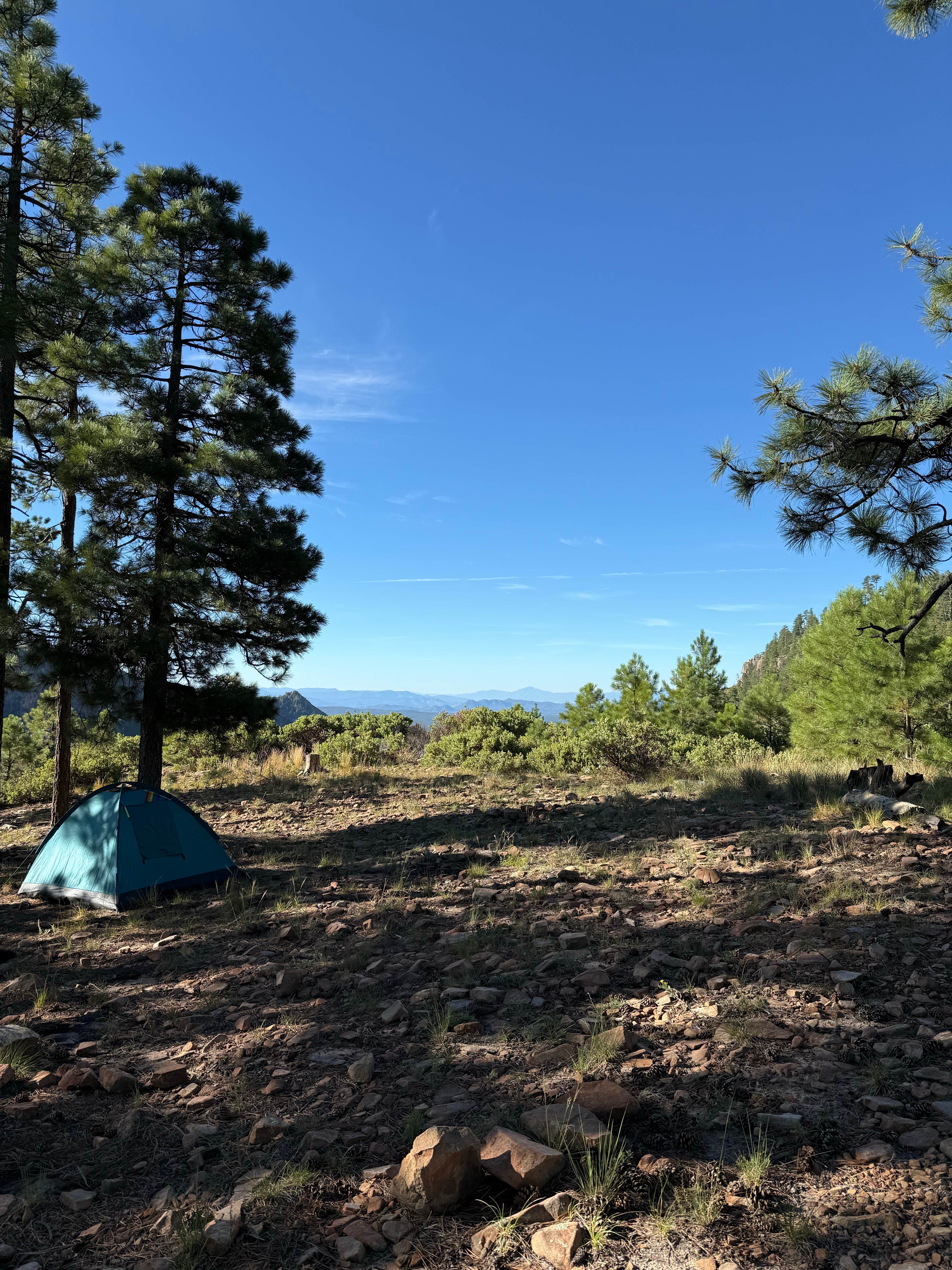 Camper-submitted photo at Molitor Spot Along Rim Road - Dispersed near Payson, AZ