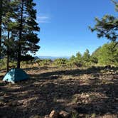 Review photo of Molitor Spot Along Rim Road - Dispersed by Haley D., September 3, 2025