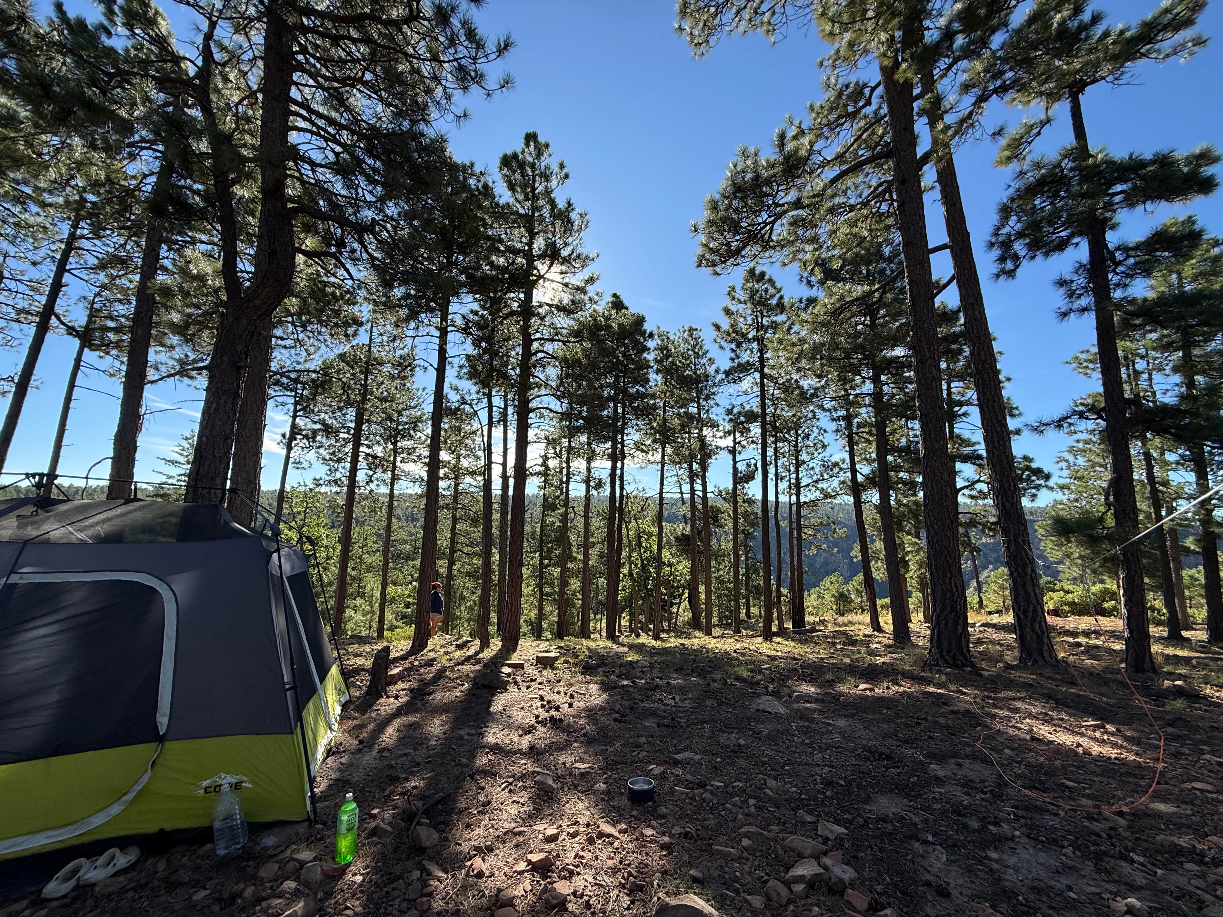 Camper-submitted photo at Molitor Spot Along Rim Road - Dispersed near Payson, AZ