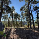 Review photo of Molitor Spot Along Rim Road - Dispersed by Haley D., September 3, 2025