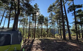 Haley D.'s photo at Molitor Spot Along Rim Road - Dispersed near Payson, AZ
