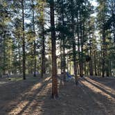 Review photo of Molly Brown Campground by Addie J., May 24, 2026