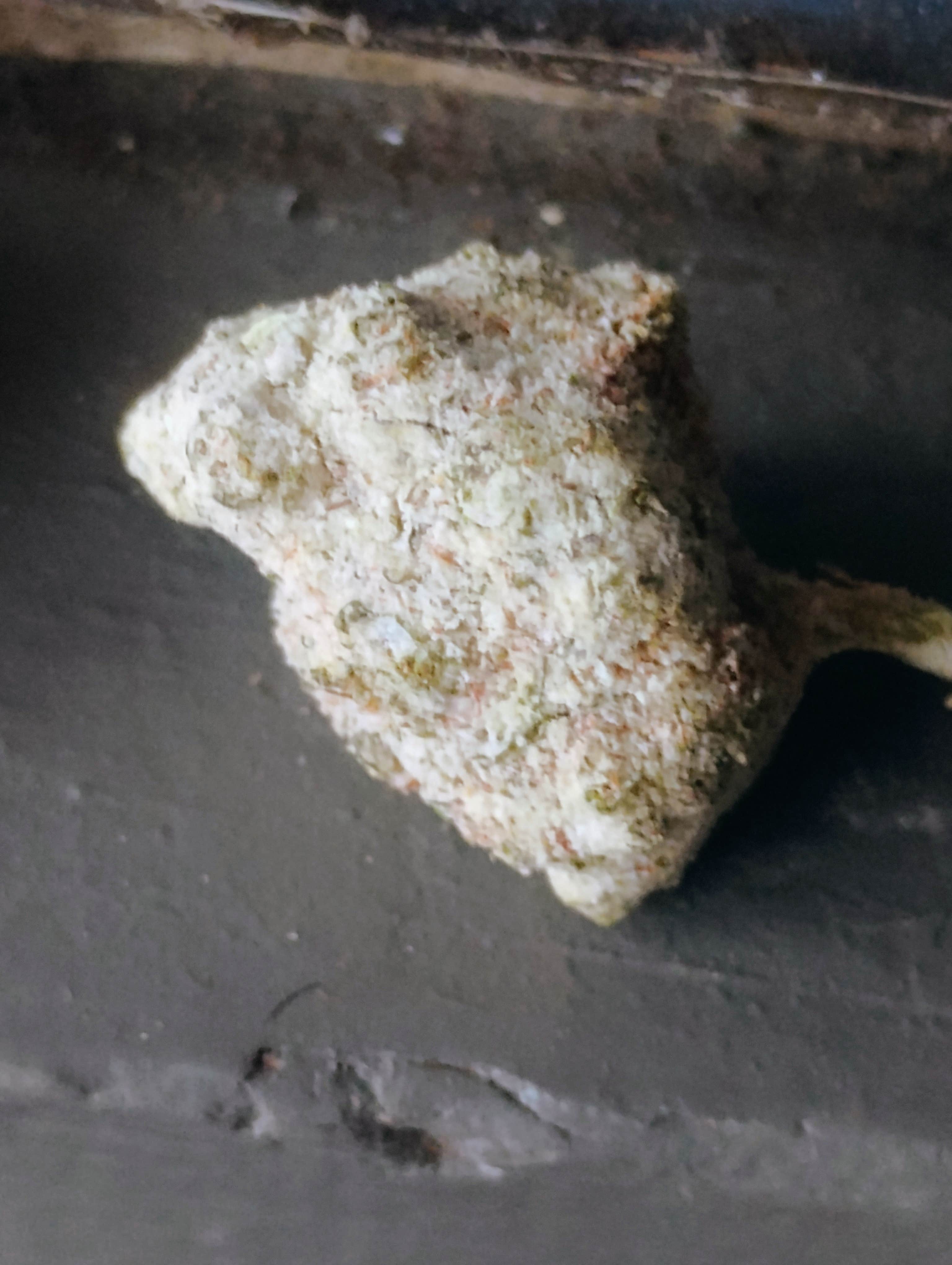 Camping near COE Eastman Lake Codorniz Campground: Momyer Creek Trail 1E06, Friant, California