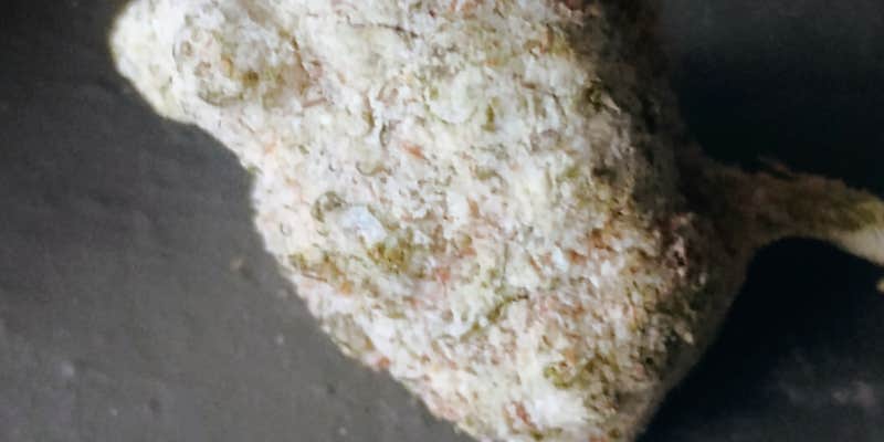 Camper submitted image from Momyer Creek Trail 1E06