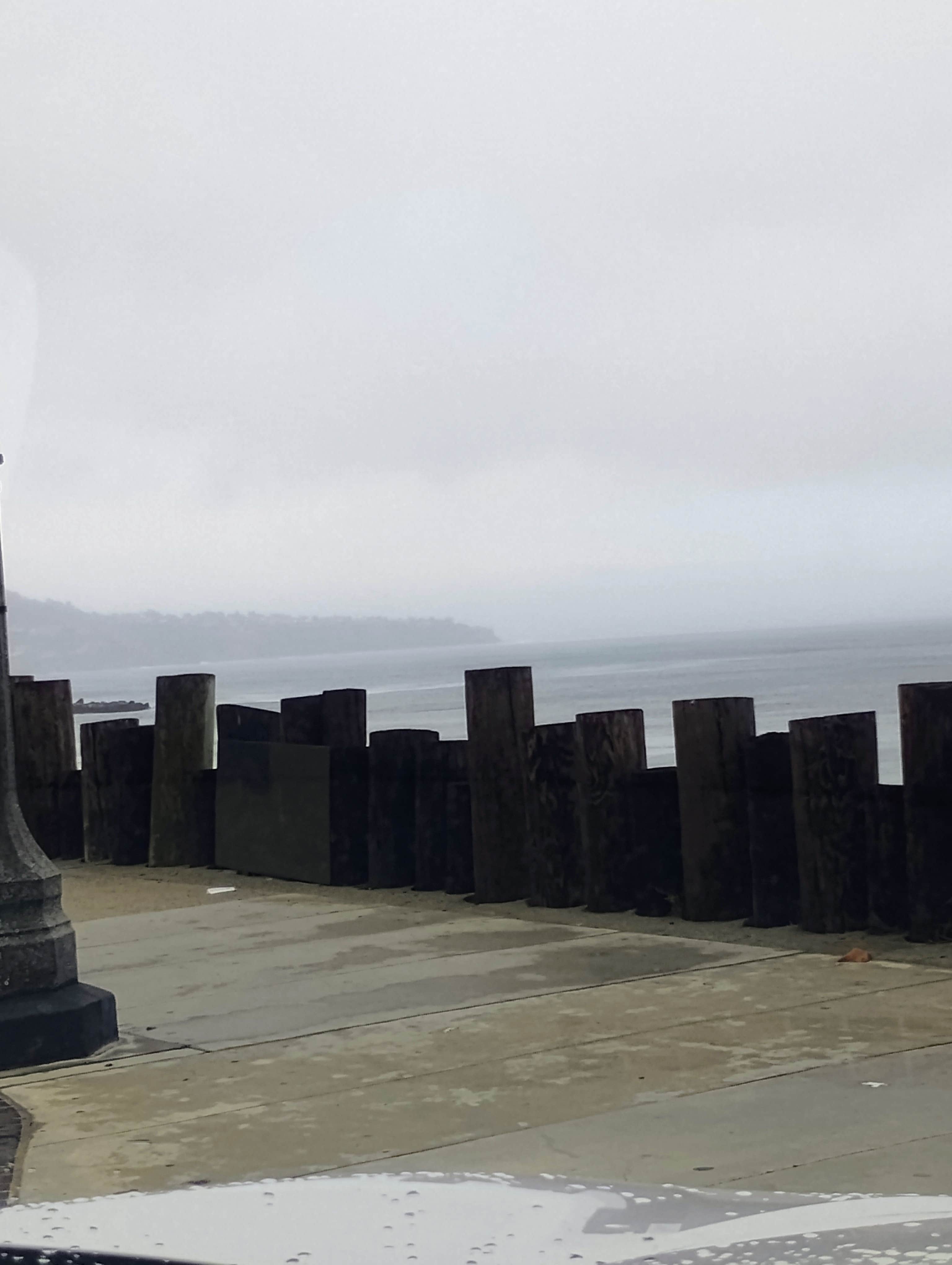 Camper-submitted photo at Momyer Creek Trail 1E06 near Wishon, CA