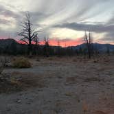Review photo of Mono Lake South Dispersed by Ryan K., November 14, 2025