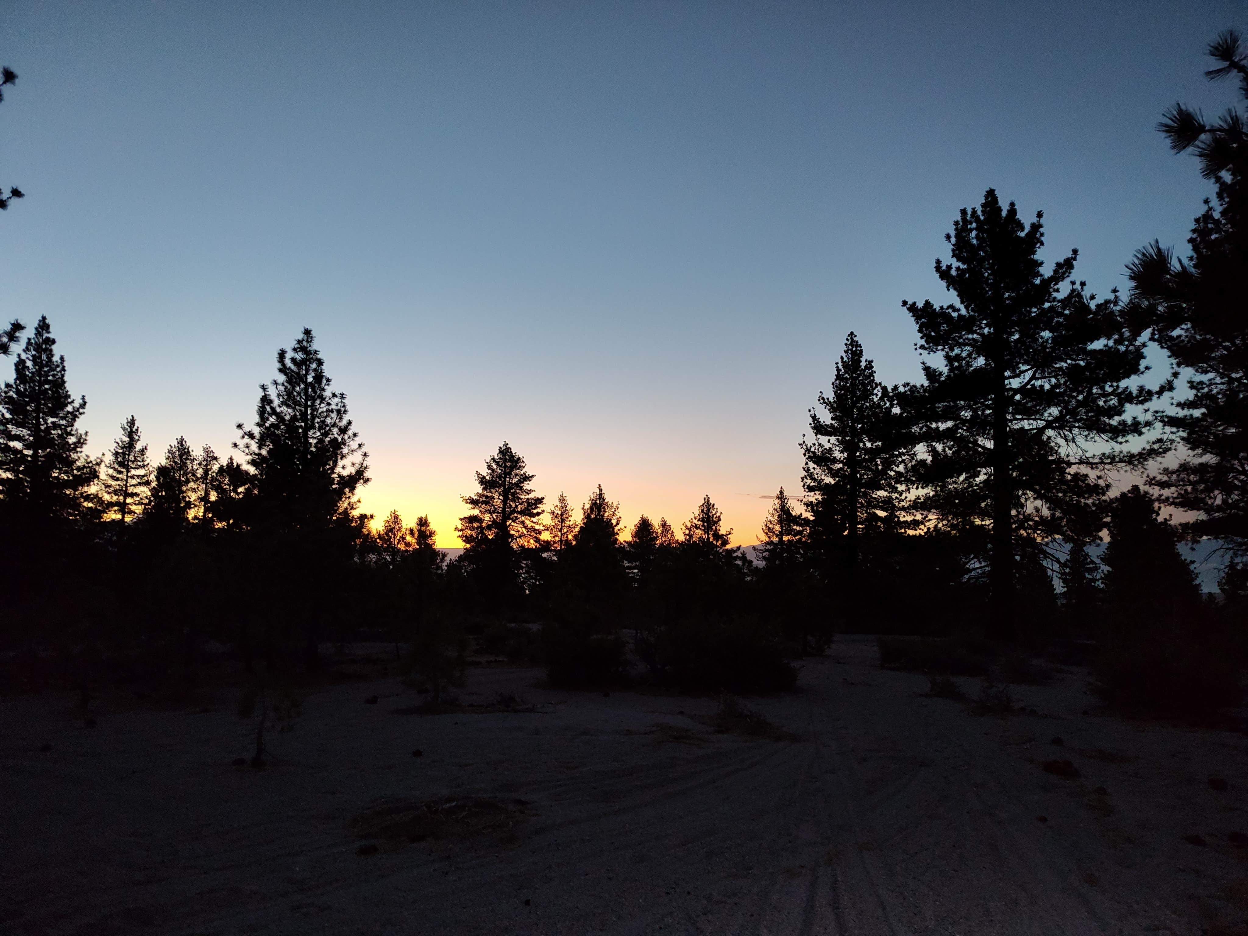 joel G.'s photo of a dispersed camping area at Mono Lake South Dispersed near Hawthorne, NV