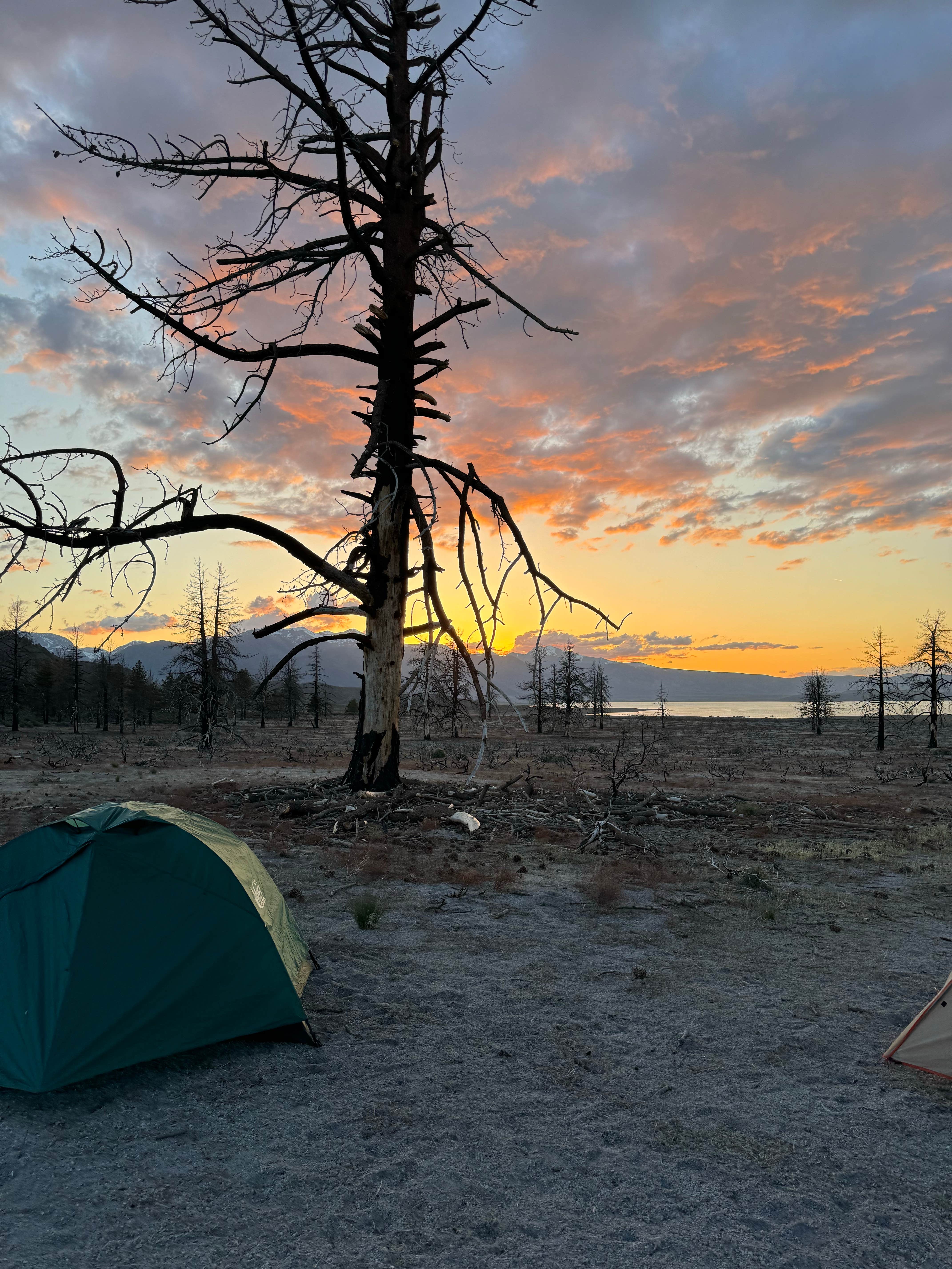 Camper submitted image from Mono Lake South Dispersed - 1
