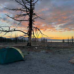 Mono Lake South Dispersed