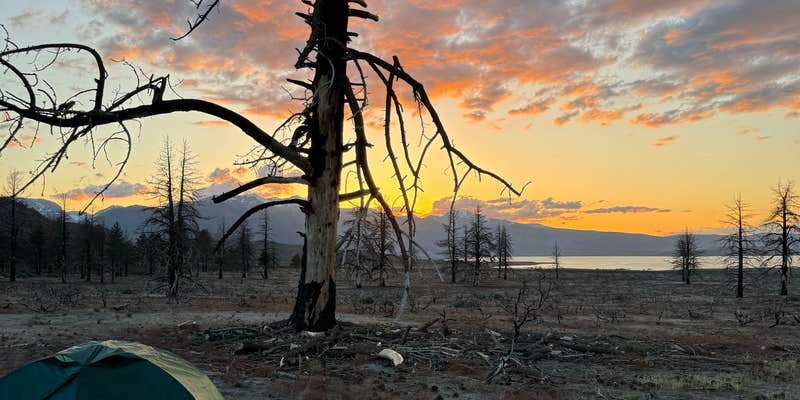 Camper submitted image from Mono Lake South Dispersed