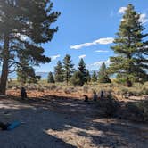 Review photo of Mono Lake South Dispersed by Emily S., July 18, 2026