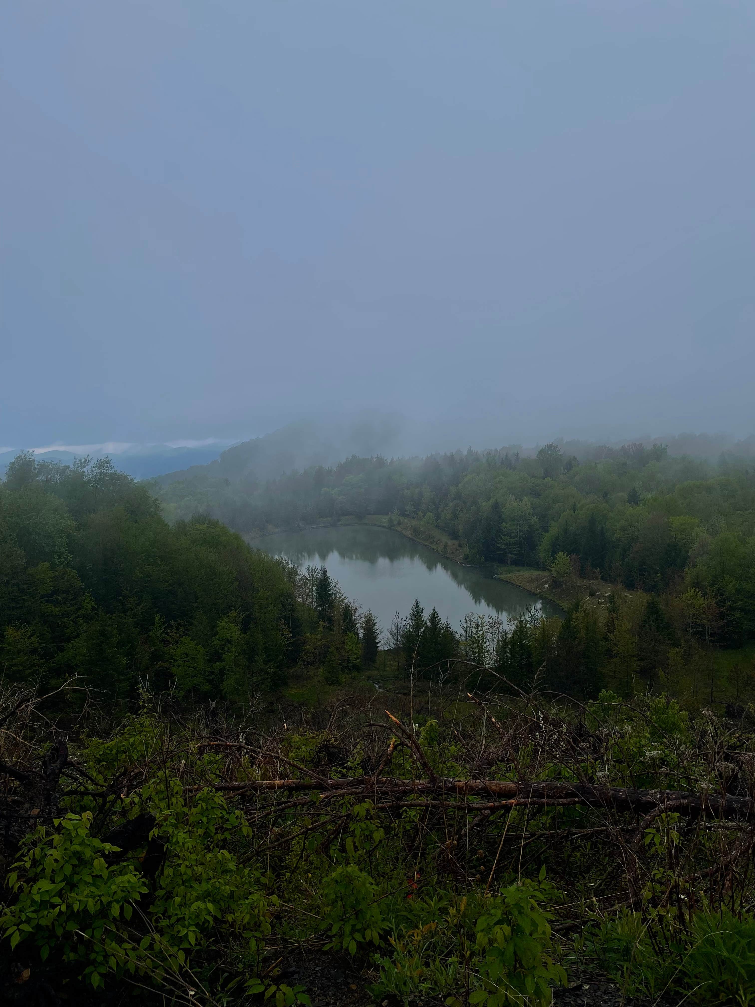 Camper submitted image from Monongahela National Forest Dispersed Site - 1