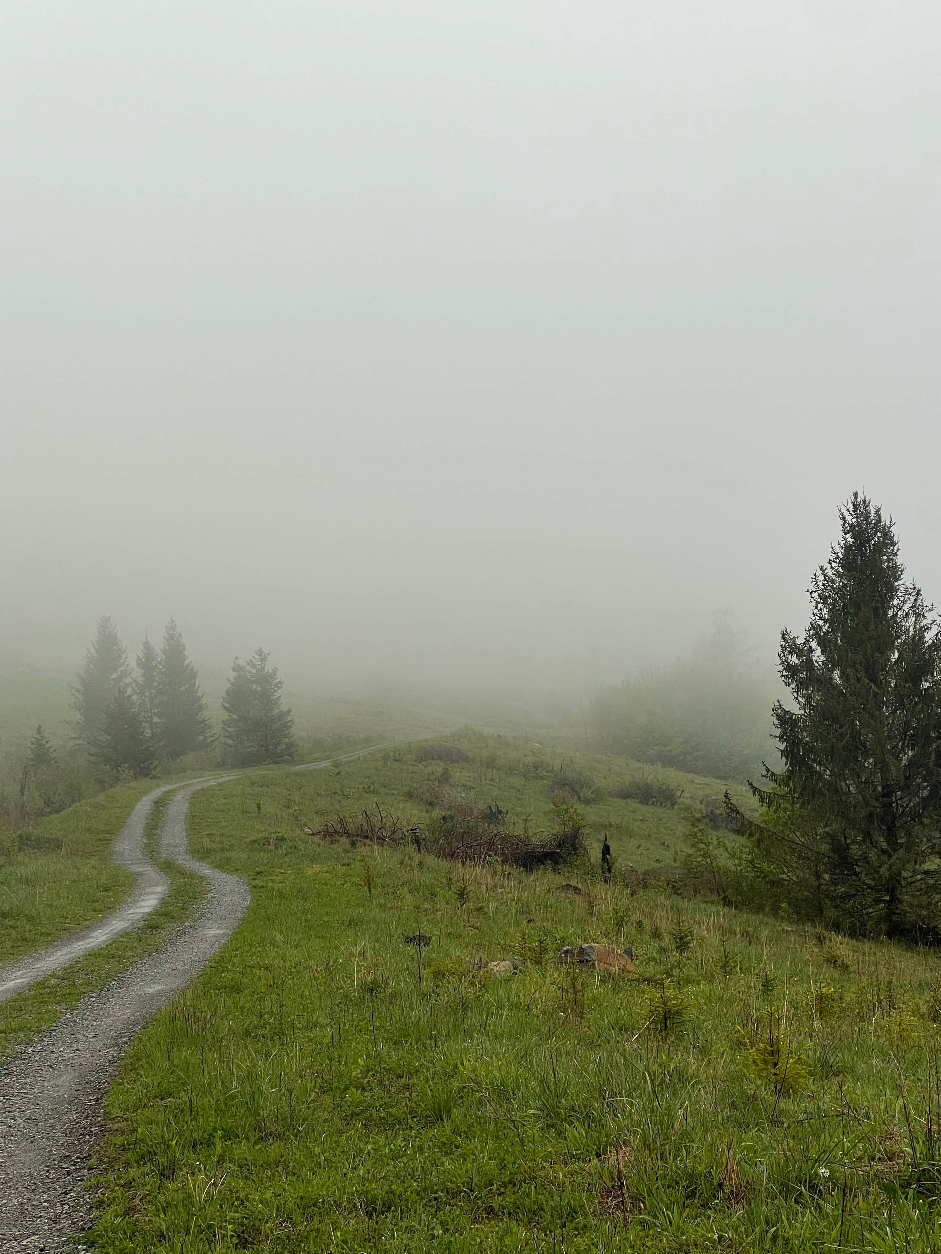 Camper-submitted photo at Monongahela National Forest Dispersed Site near Craigsville, WV