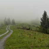 Review photo of Monongahela National Forest Dispersed Site by Emily L., September 8, 2024