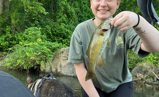 Ronnie B.'s photo of camping with pets at Chestnut Ridge Park and Campground Monongalia County Park near Paw Paw, WV
