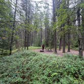 Review photo of Apgar Group Sites — Glacier National Park by Tyler S., June 28, 2026