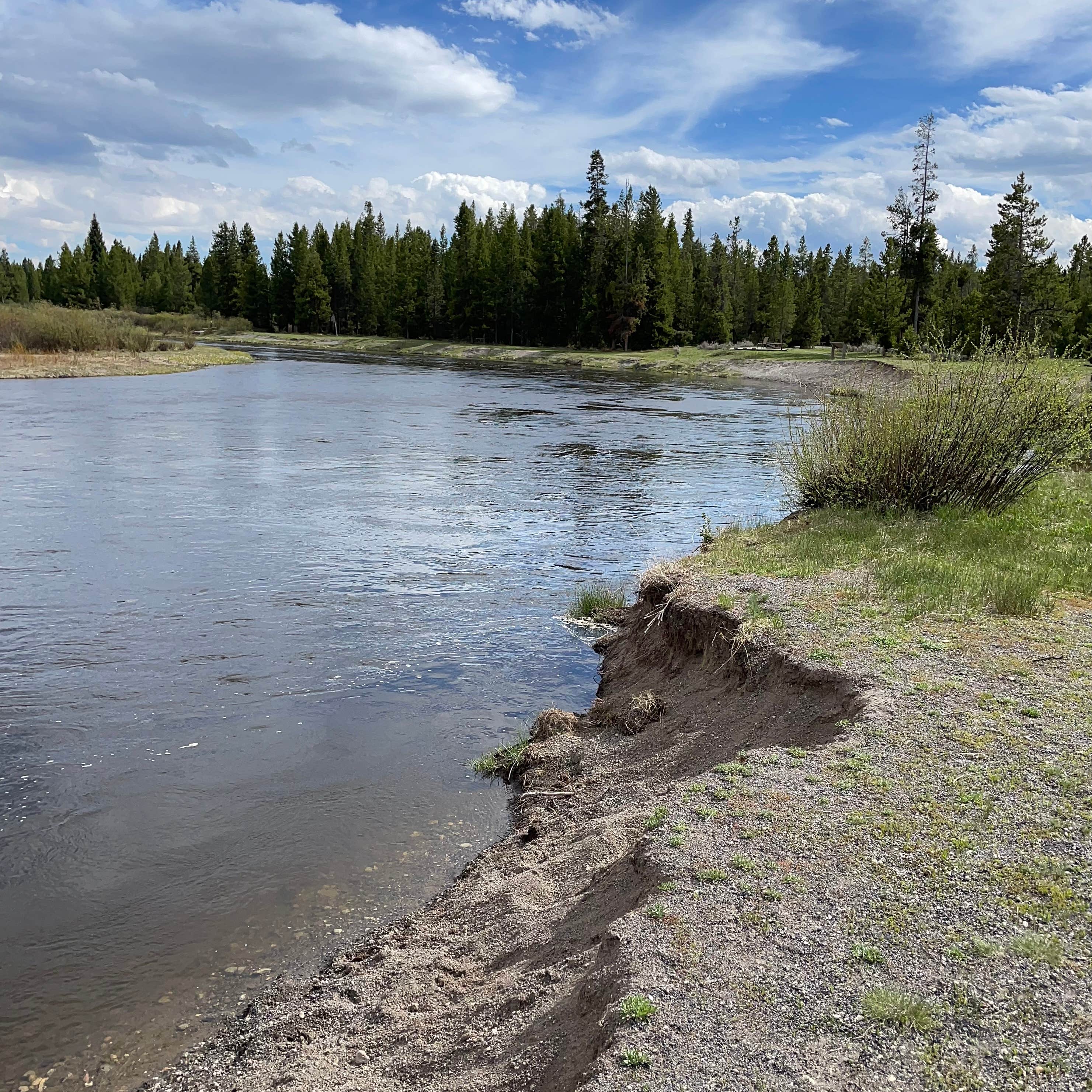 Bakers Hole Campground West Yellowstone, MT