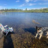 Review photo of Bakers Hole Campground by frank L., July 12, 2025
