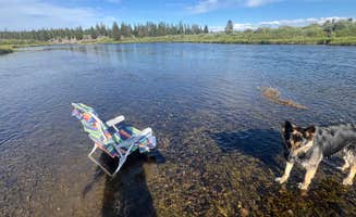 frank L.'s photo of camping with pets at Bakers Hole Campground near Yellowstone National Park