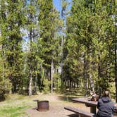 Review photo of Bakers Hole Campground by Nick B., May 20, 2026