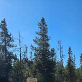 Review photo of Bakers Hole Campground by Bare Soul W., May 15, 2026