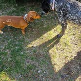 Review photo of Bakers Hole Campground by Bare Soul  W., May 15, 2026