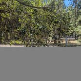 Review photo of Beavertail Hill State Park Campground by David H., August 13, 2025