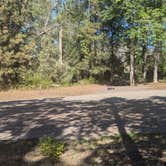 Review photo of Beavertail Hill State Park Campground by David H., August 13, 2025
