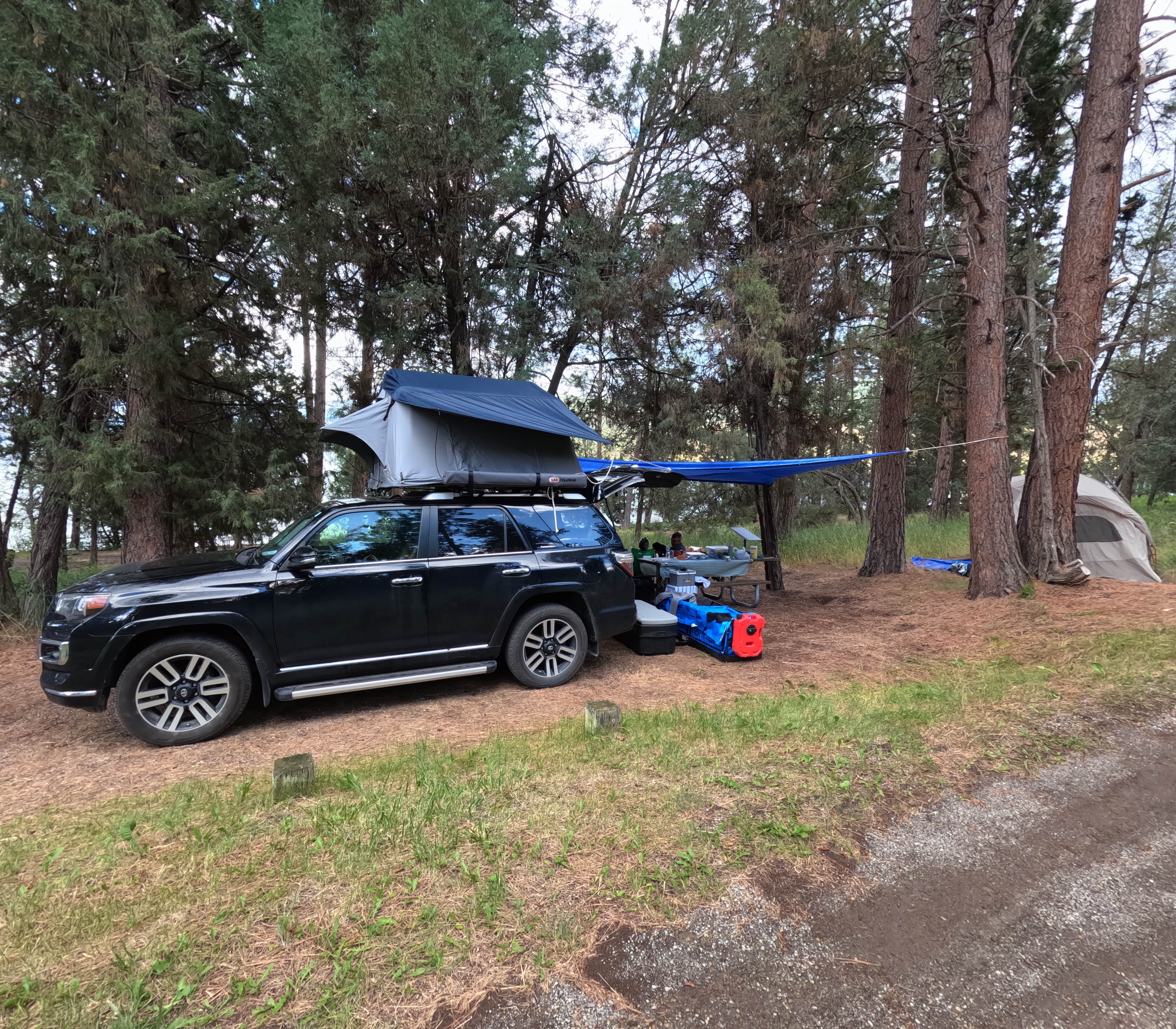 Azaali J.'s photo at Big Arm State Unit — Flathead Lake State Park near Hot Springs, MT