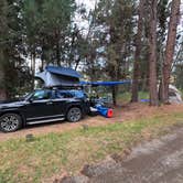 Review photo of Big Arm State Unit — Flathead Lake State Park by Azaali J., July 13, 2024