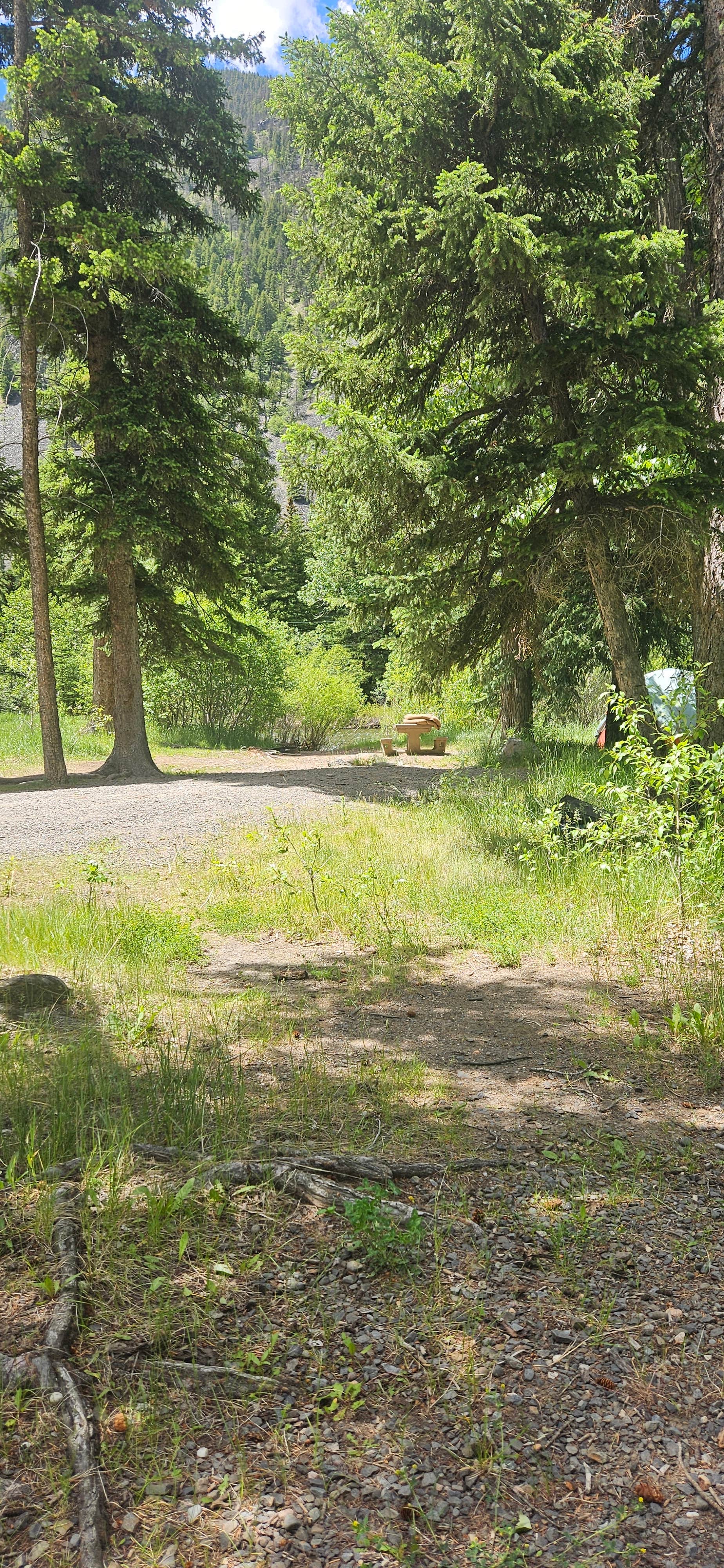 Camper-submitted photo at Big Beaver Campground near Nye, MT