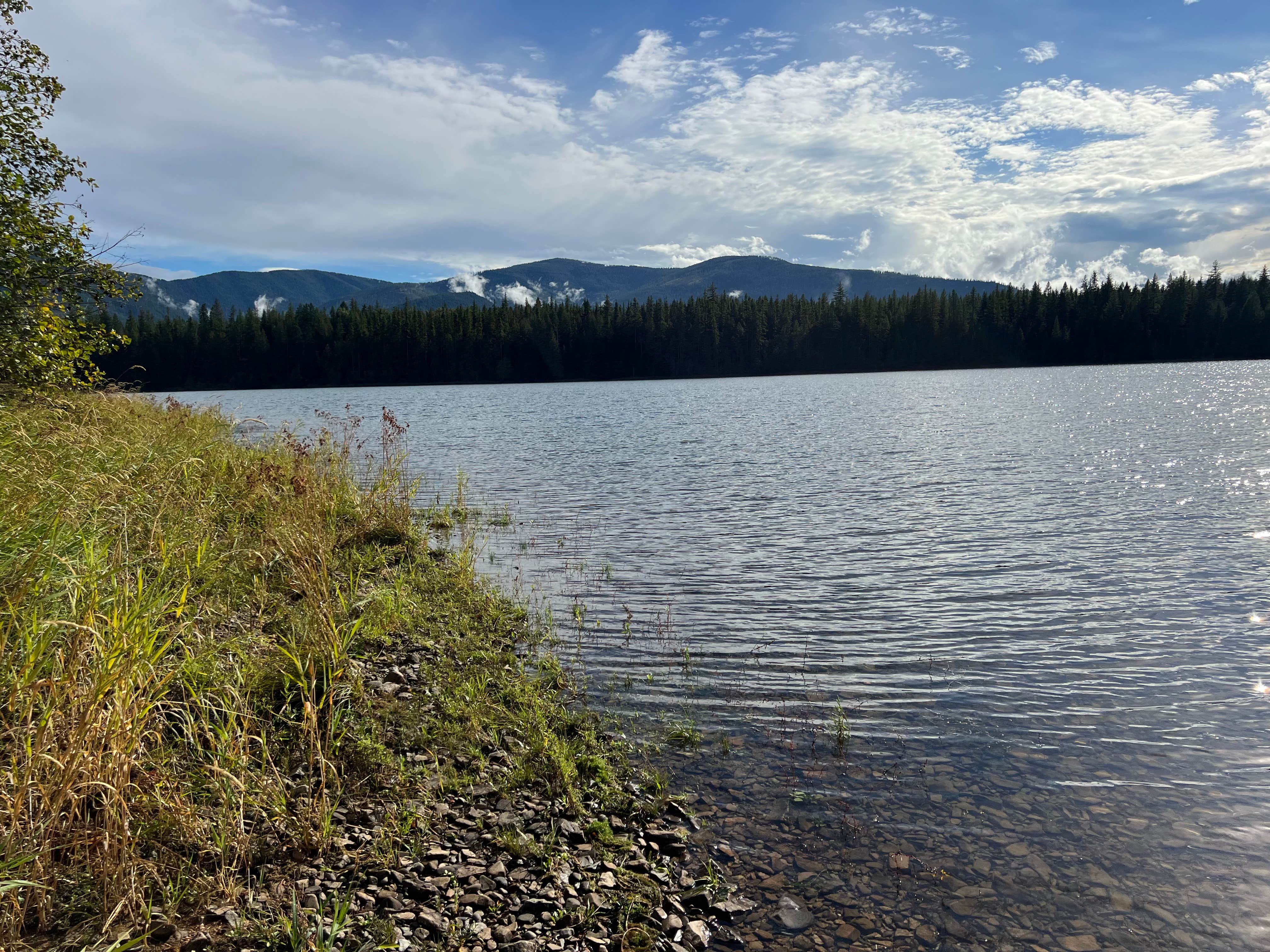 Camper submitted image from Big Eddy Campground - 5