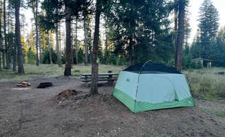 Meghan B.'s photo at Big Larch Campground near Seeley Lake, MT