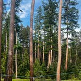 Review photo of Big Larch Campground by Tori's C., June 6, 2026