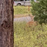 Review photo of Big Larch Campground by Gary N., September 16, 2025
