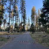 Review photo of Big Larch Campground by Meghan B., October 8, 2025