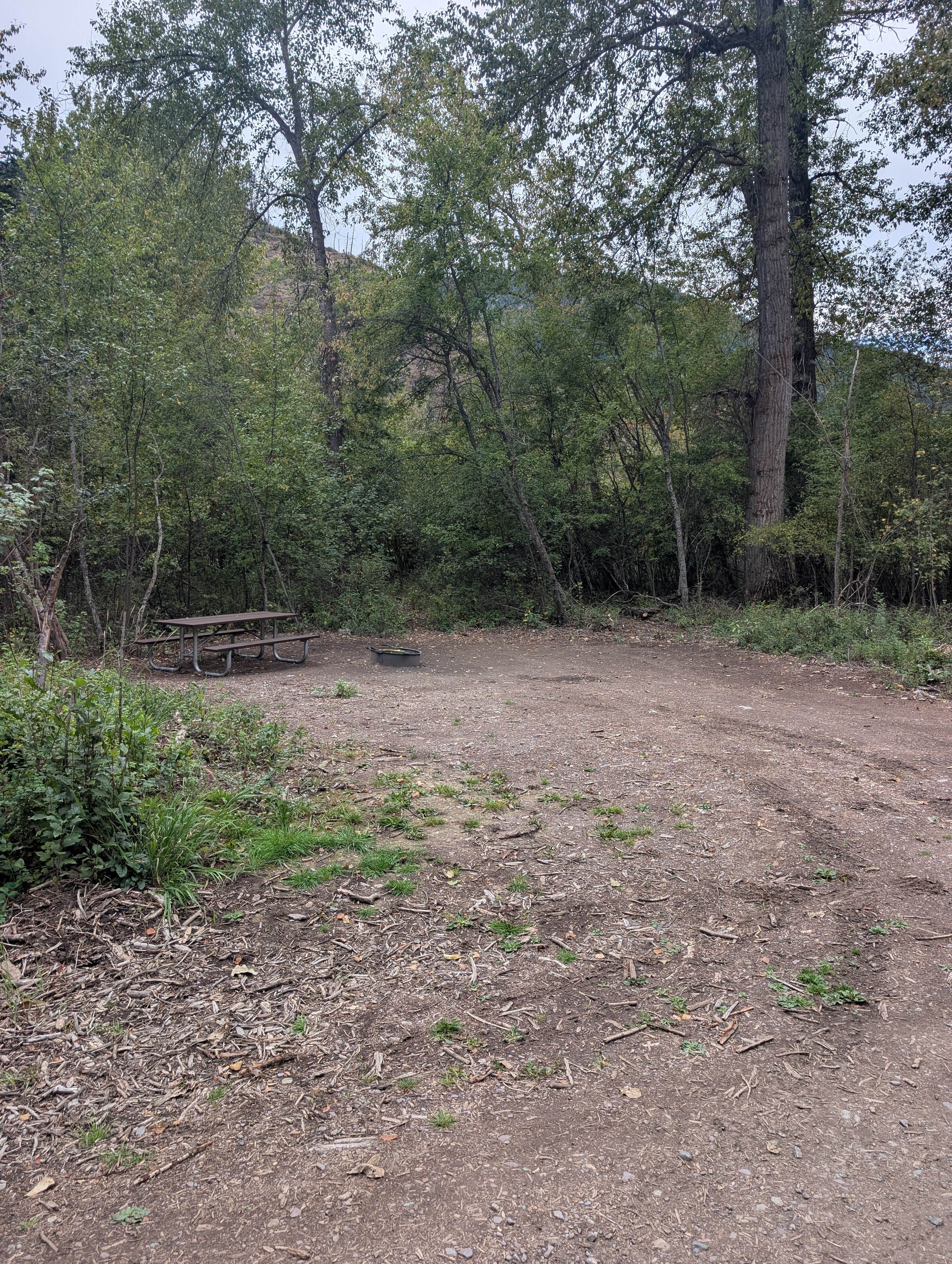 Camper-submitted photo at Big Pine Campground near Lolo National Forest