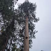 Review photo of Big Pine Campground by Scott C., September 6, 2026