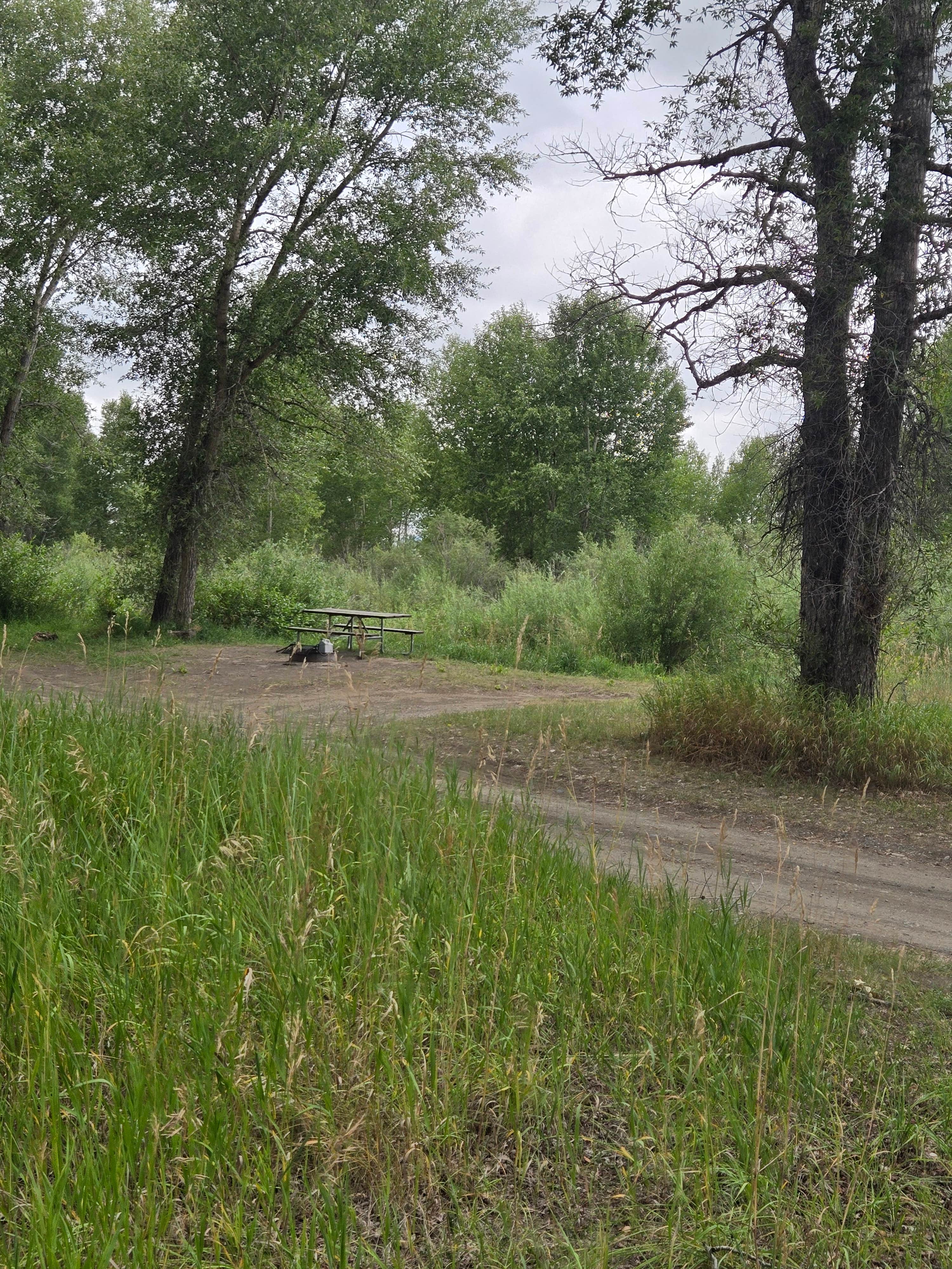 Camper-submitted photo at Big Rock near Greycliff, MT