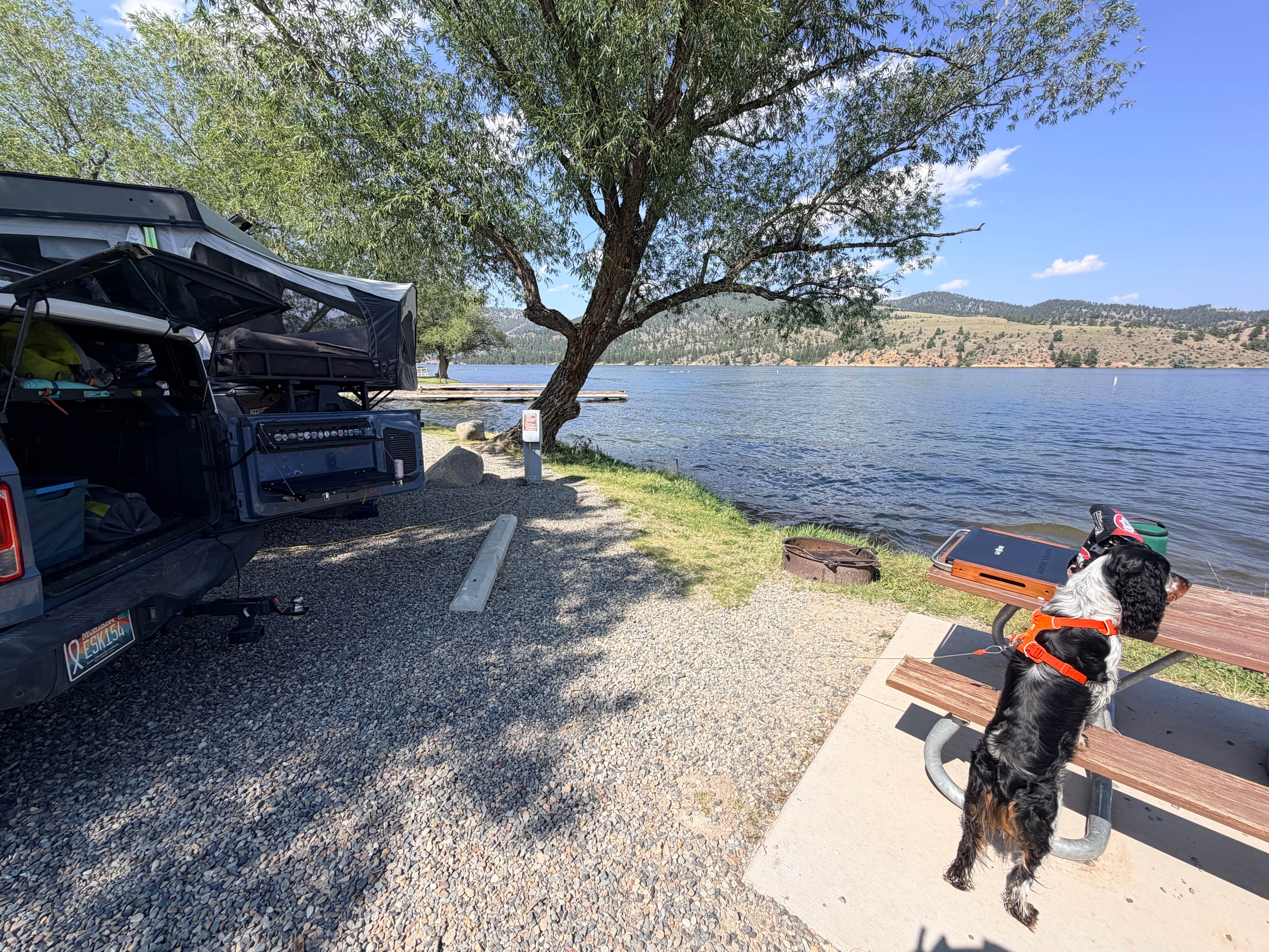 Brodie B.'s photo of camping with pets at Black Sandy State Park Campground near Helena, MT