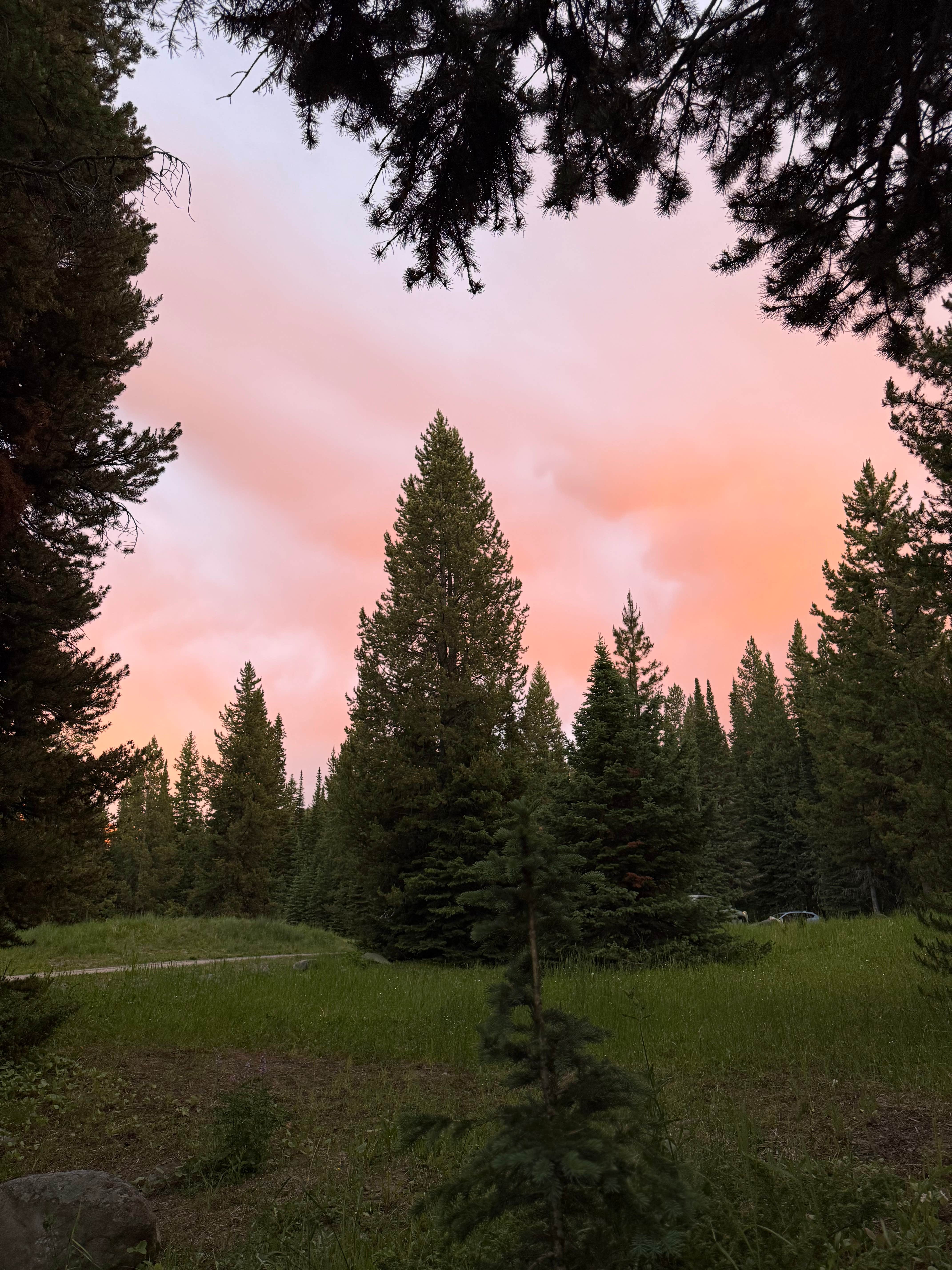 Camper-submitted photo at Blackmore Campground near Emigrant, MT