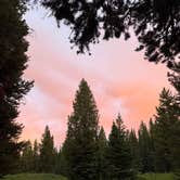 Review photo of Blackmore Campground by abbey B., July 2, 2025